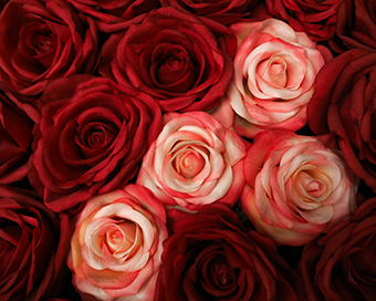 NOCHE DE SAN VALENTIN